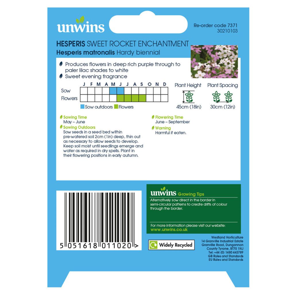 Unwins Hesperis Sweet Rocket Enchantment Seeds 5051618011020 2